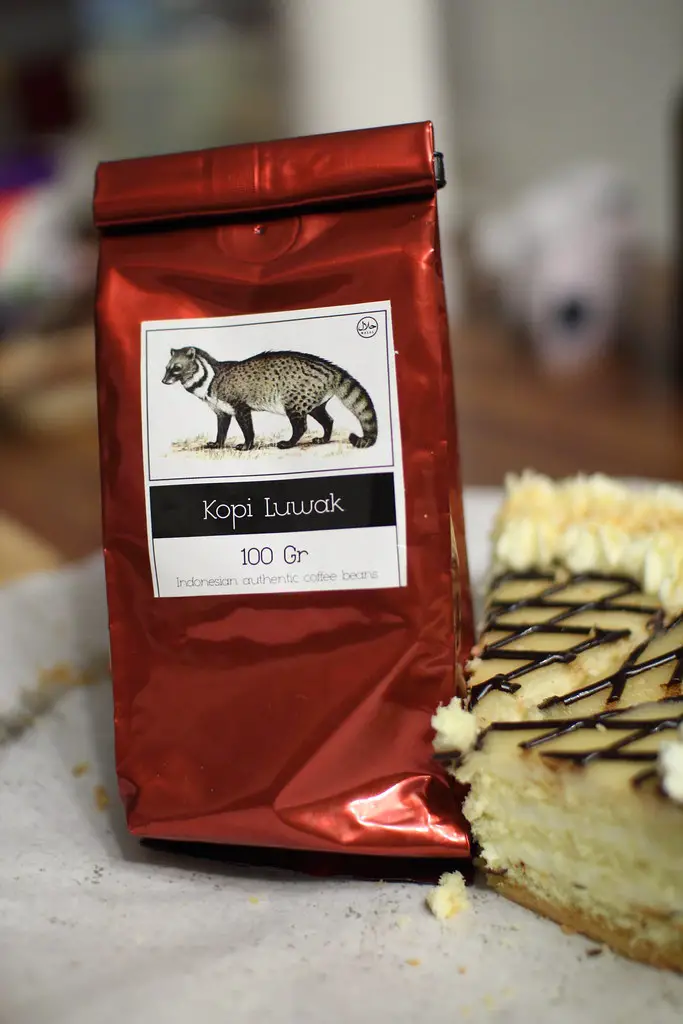 Kopi Luwak Civet Coffee da Indonésia