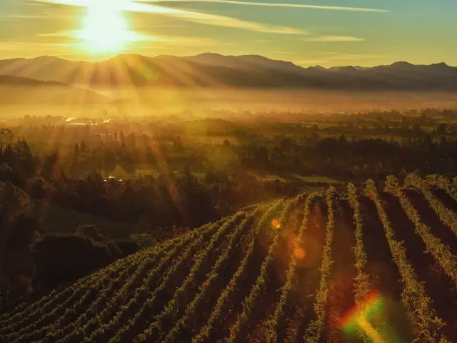 napa-valley-vinho-california-melhores-californianos