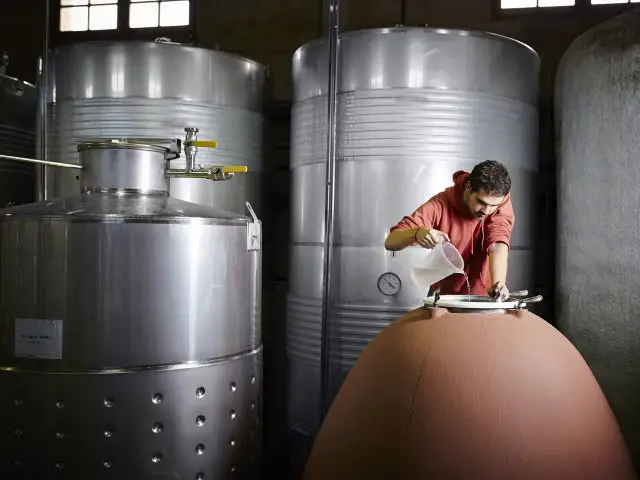processo-fabricaçao-vinho-fermentacao-como-fazer-vinho-caseiro-barril-carvalho-vinho-vence-recipiente-grande-volume